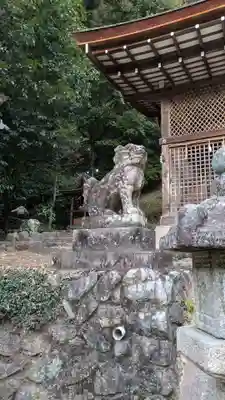 宇治上神社の狛犬