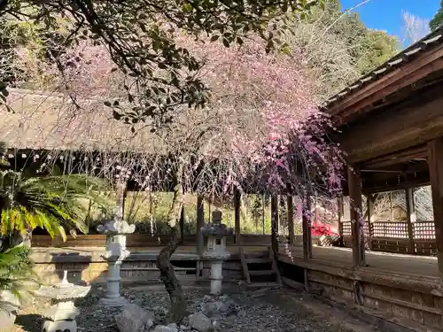 香春神社の自然