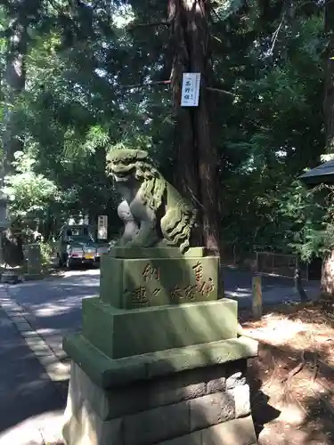 岩槻久伊豆神社の狛犬