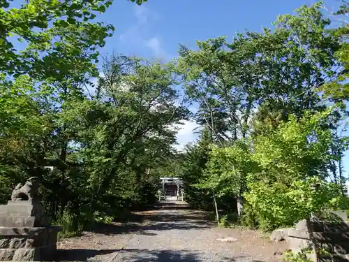 留寿都神社の狛犬