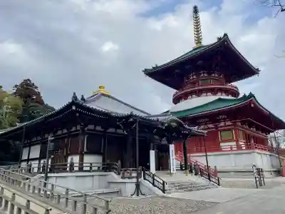 成田山平和大塔(千葉県)