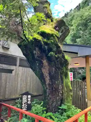 箱根神社(神奈川県)