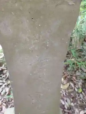 赤城神社(千葉県)