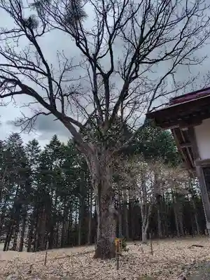 稲荷神社(北海道)