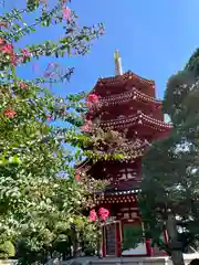 川崎大師（平間寺）(神奈川県)