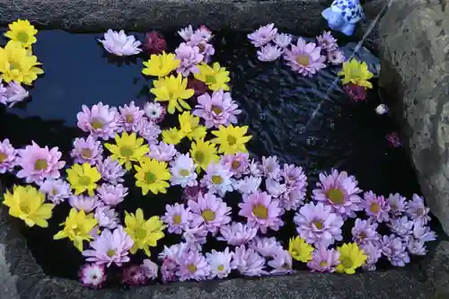 大鏑神社の手水