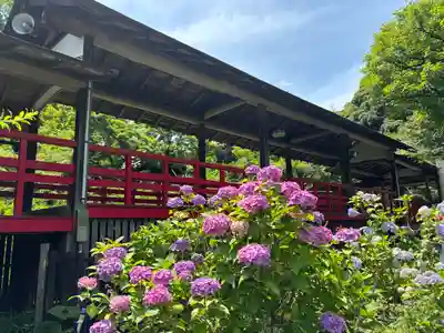 本土寺(千葉県)