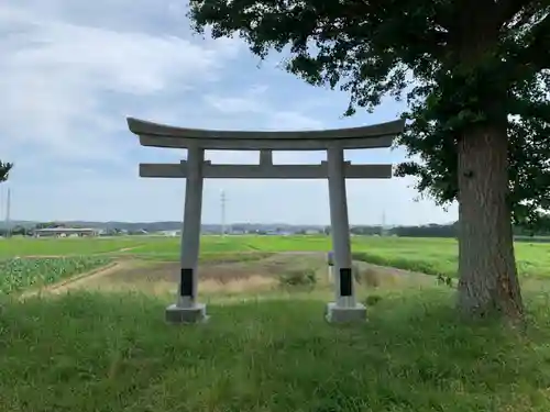 本織神社の鳥居