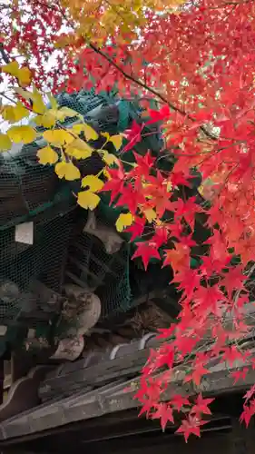 松ヶ崎大黒天 妙圓寺（妙円寺）(京都府)