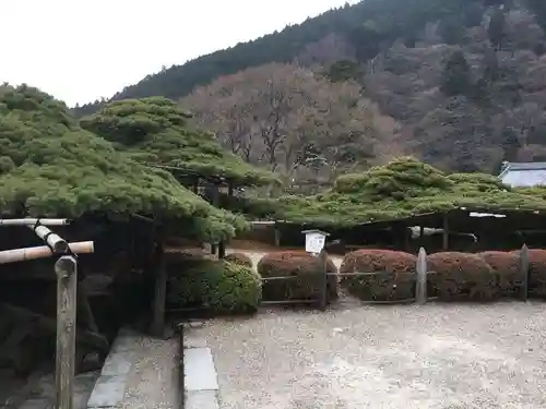 善峯寺の景色