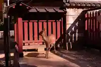 三翁神社(広島県)