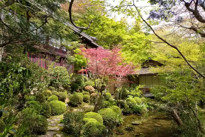 寂光院(京都府)