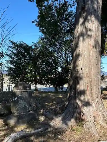 浅間神社(静岡県)