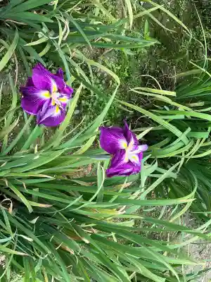 知立神社(愛知県)