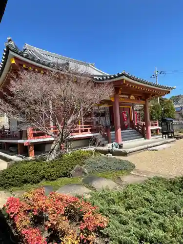 寳珠院（宝珠院）の本殿・本堂