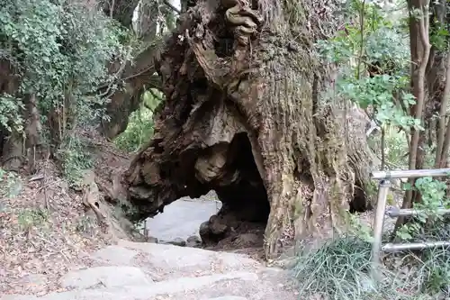 大山祇神社奥の院 生樹の御門(愛媛県)