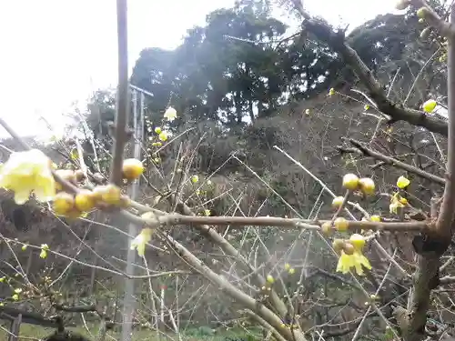 光則寺(神奈川県)