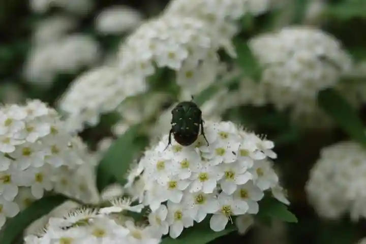 海龍王寺(奈良県)