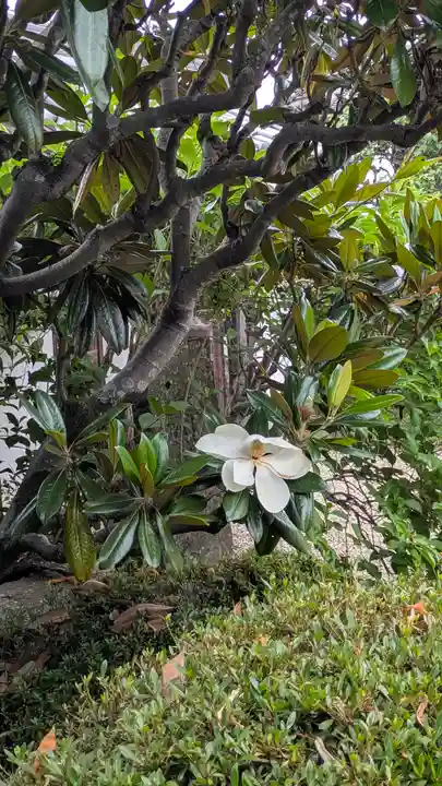 法然寺(奈良県)