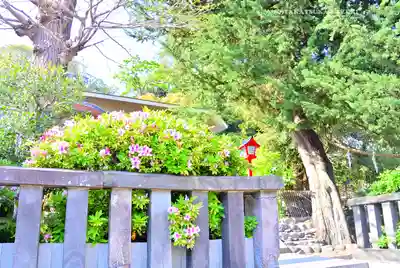 瀬戸神社(神奈川県)