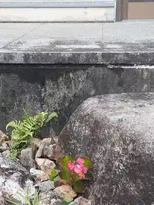 西方山極楽寺の自然