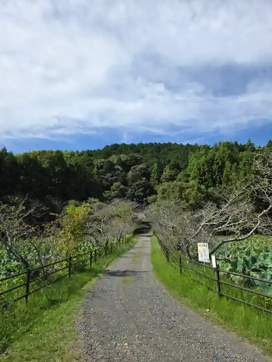 櫻宮神社(静岡県)