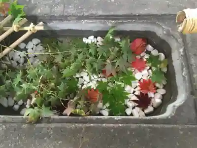 北広島市総鎮守 廣島神社の手水舎