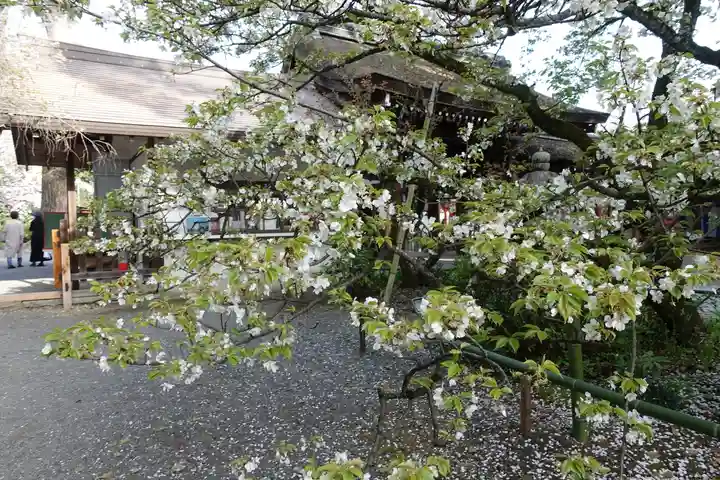 平野神社のその他建物