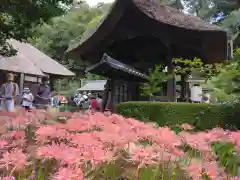 横浜　西方寺(神奈川県)