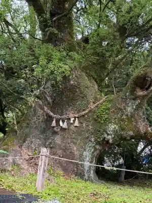 船引神社(宮崎県)
