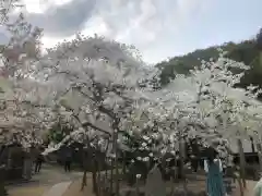 大宝寺の庭園