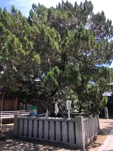 高砂神社の庭園