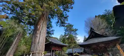 北口本宮冨士浅間神社のその他建物