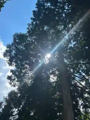 瀧神社(岐阜県)