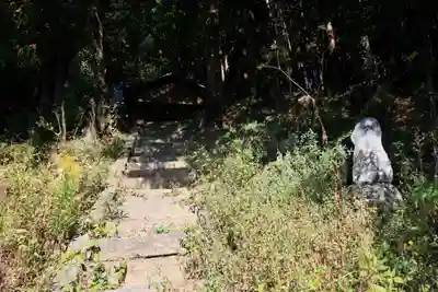 猫稲荷神社の景色