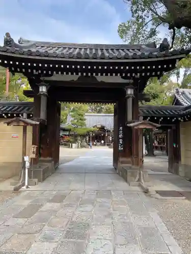 杭全神社(大阪府)