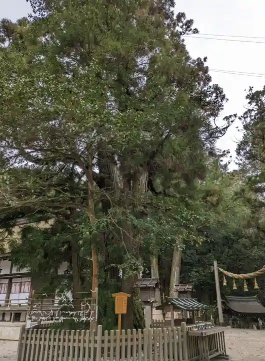 大神神社(奈良県)
