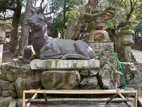 春日大社(奈良県)