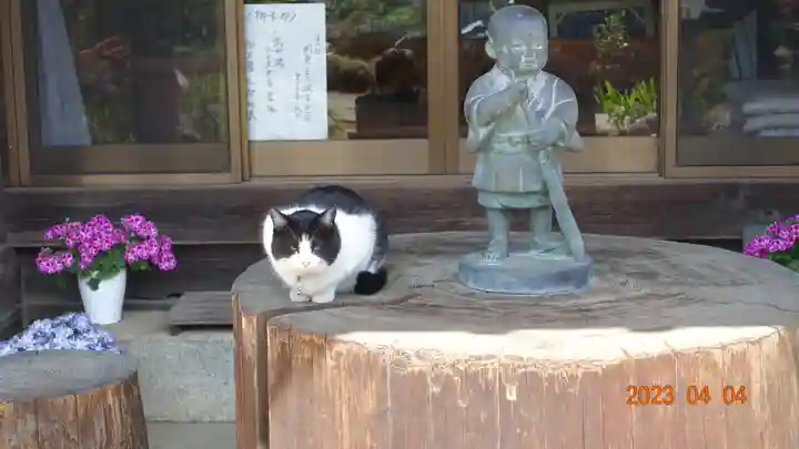 宝積寺(埼玉県)