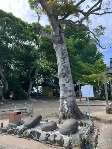 白子神社(千葉県)