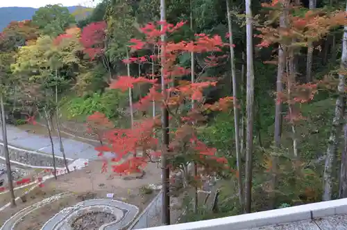 長谷寺の景色