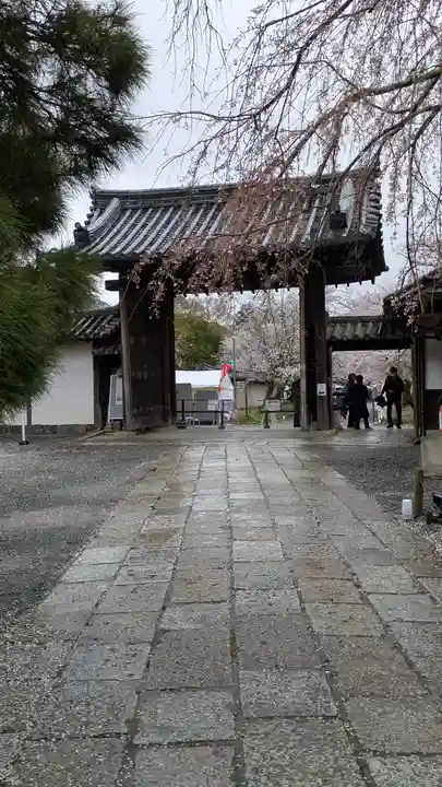 醍醐寺(京都府)
