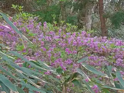 加波山神社親宮(茨城県)