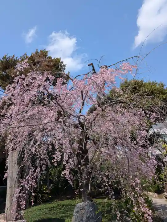 寳幢院(東京都)