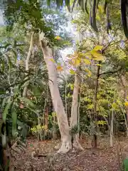 桜木神社(香川県)