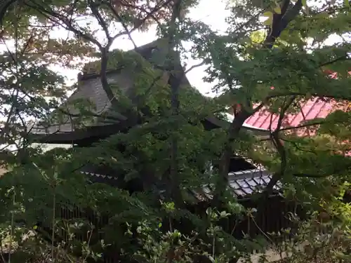 山梨岡神社の本殿