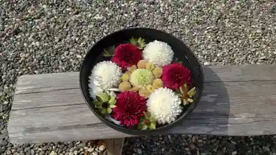 函館八幡宮の手水舎