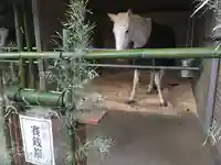 大和国鹿島香取本宮(奈良県)