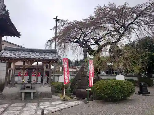 光榮寺の庭園