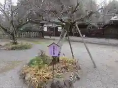 平野神社(京都府)